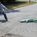 alligator-asphalt-cracking-repairs