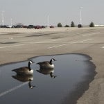 puddles-on-parking-lot